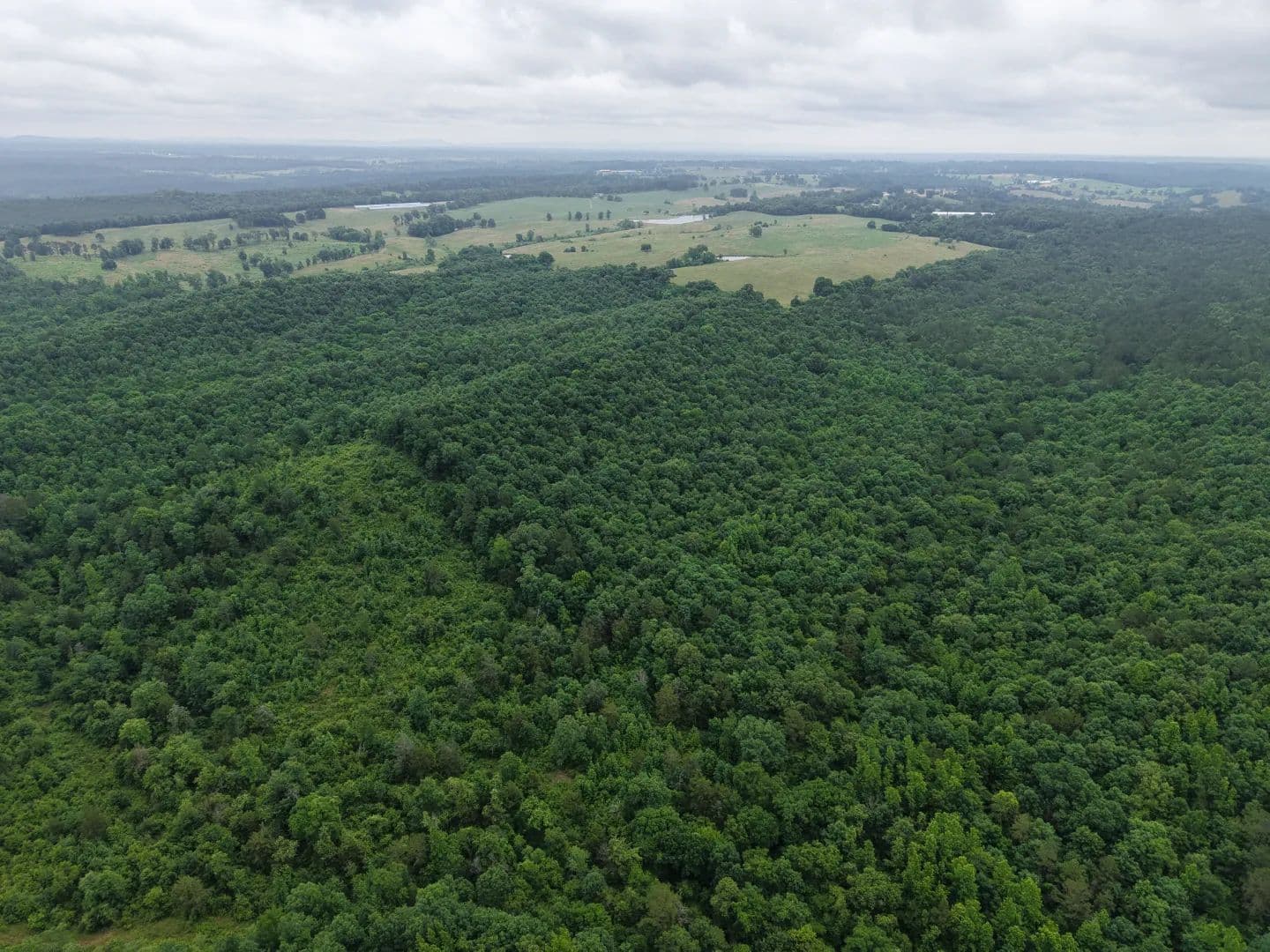 154 Acres in Sevier County, AR  - Gillham, Arkansas, 71841