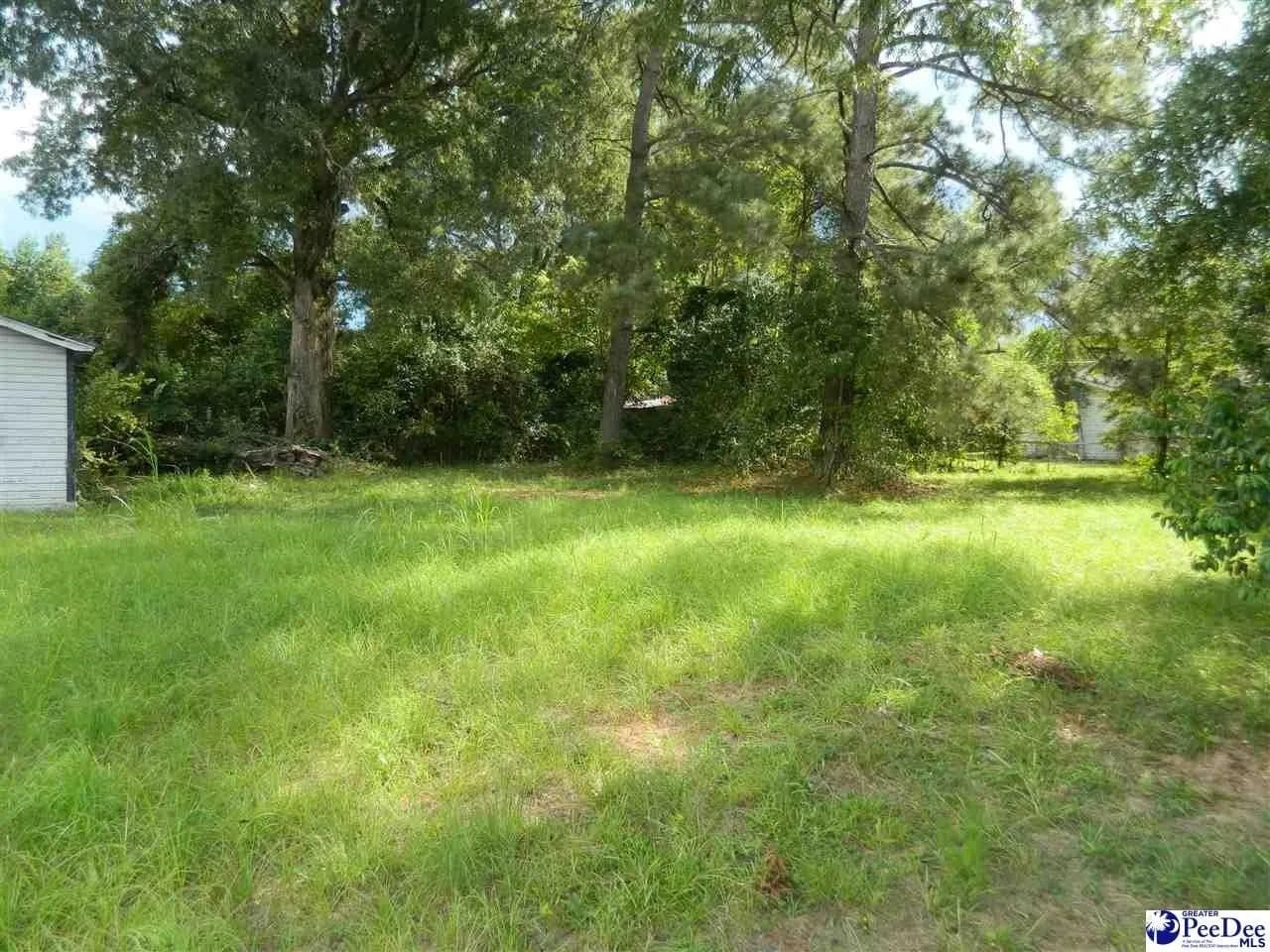 Lots & Land-Other in Timmonsville - Timmonsville, South Carolina, 29161