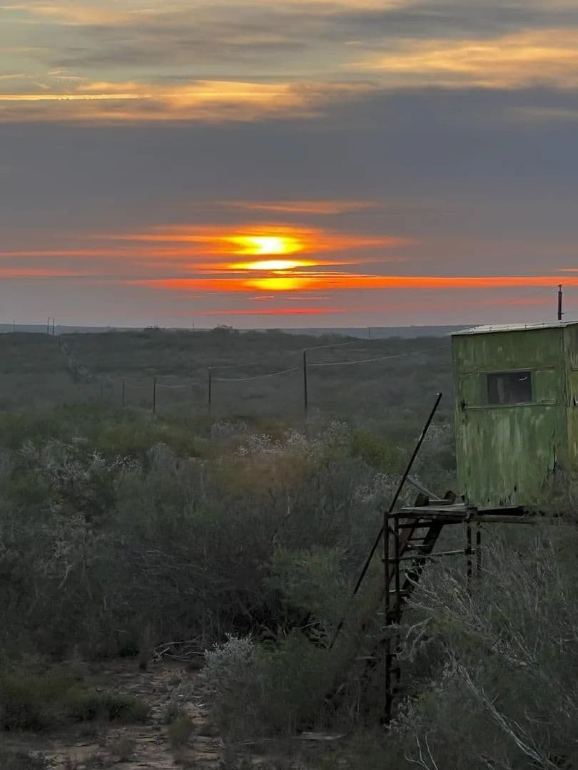 Lots & Land-Other in Freer