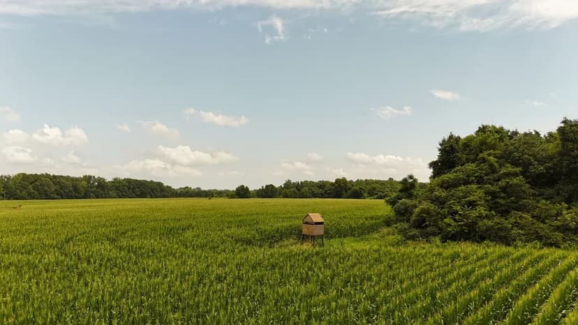 Watkins Corner Farms