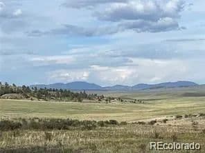 Lots & Land-Other in Hartsel - Hartsel, Colorado, 80449