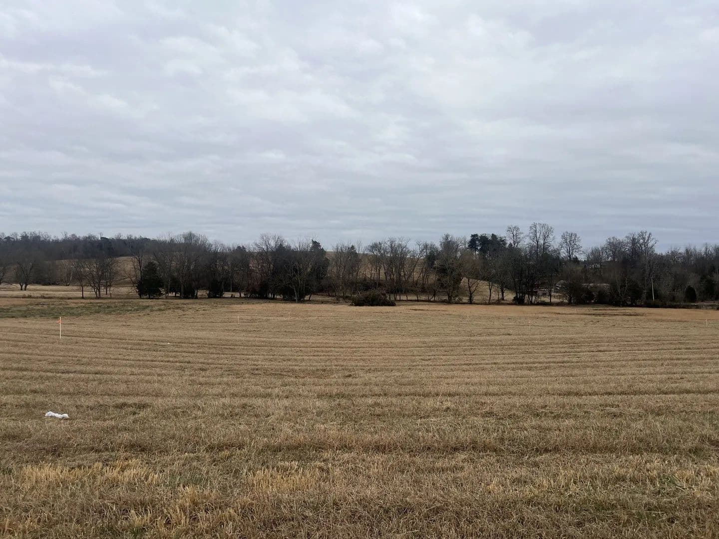 Lots & Land-Other in Moss - Moss, Tennessee, 38575
