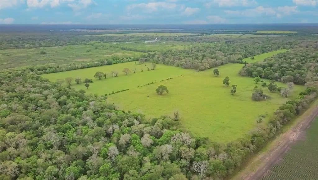 Lots & Land-Other in Guy - Guy, Texas, 77444
