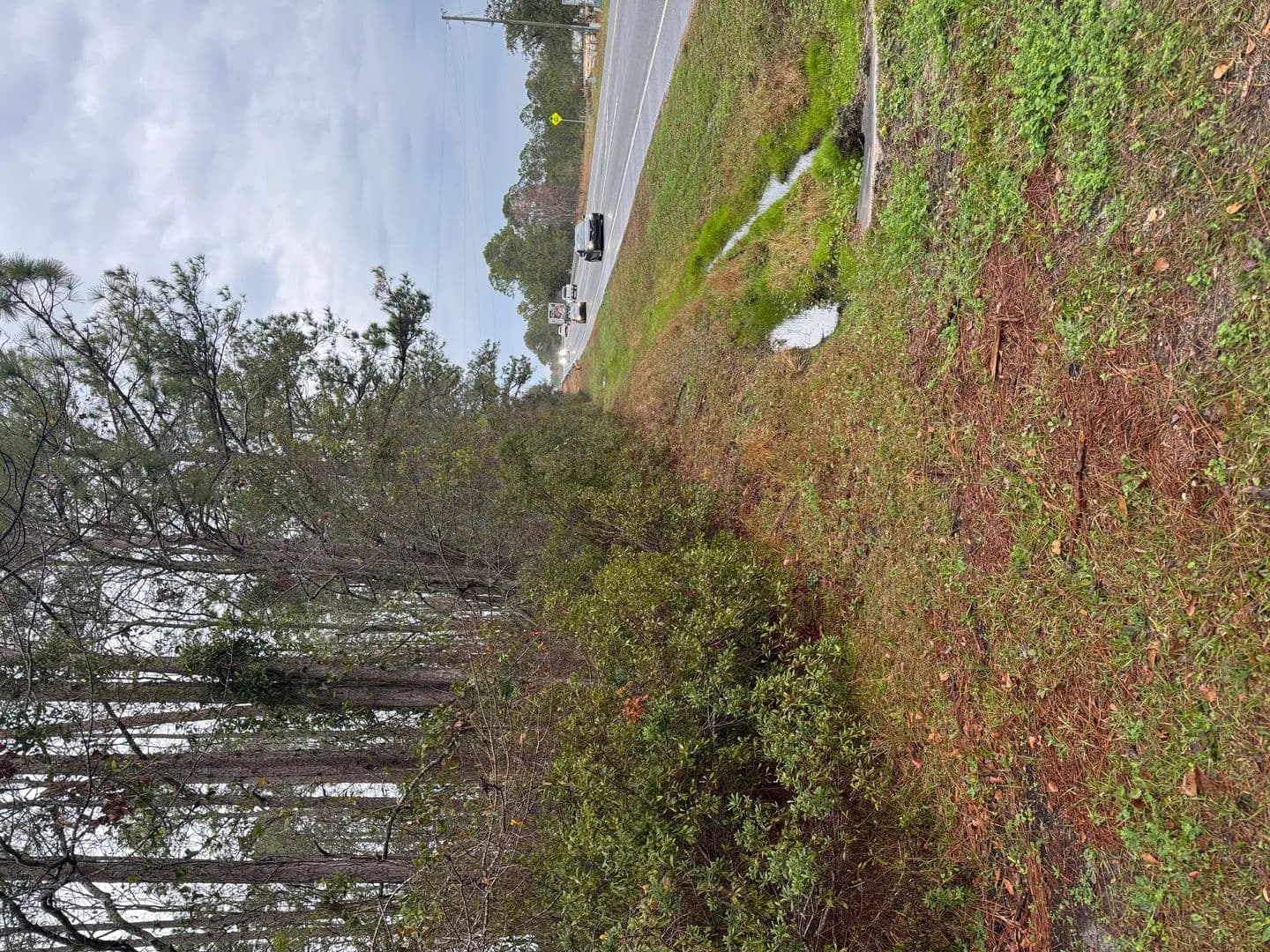 Lots & Land-Other in Lake City - Lake City, Florida, 32024