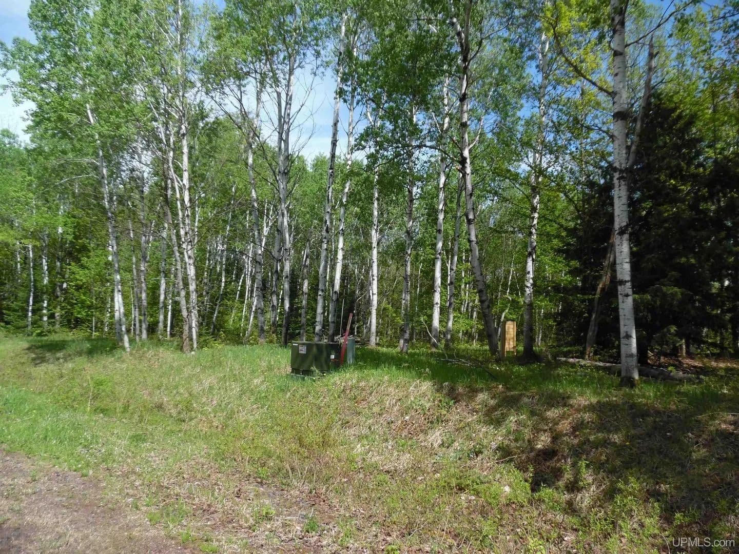 Vacant Land in White Pine - White Pine, Michigan, 49971