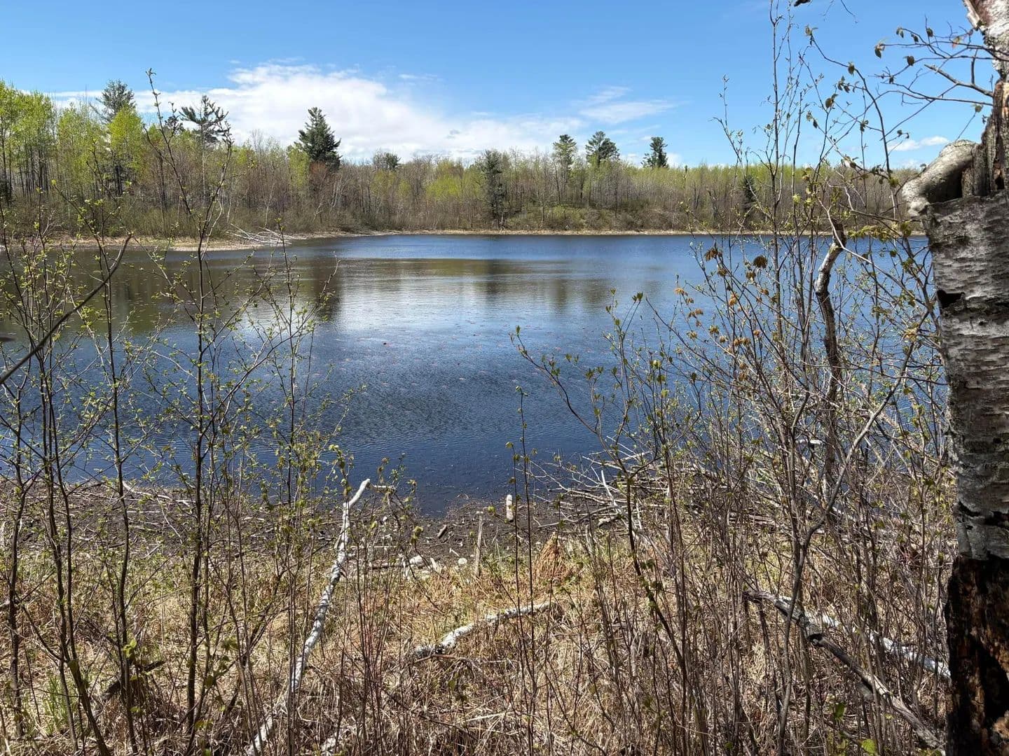 Vacant Land in Carlton - Carlton, Minnesota, 55718