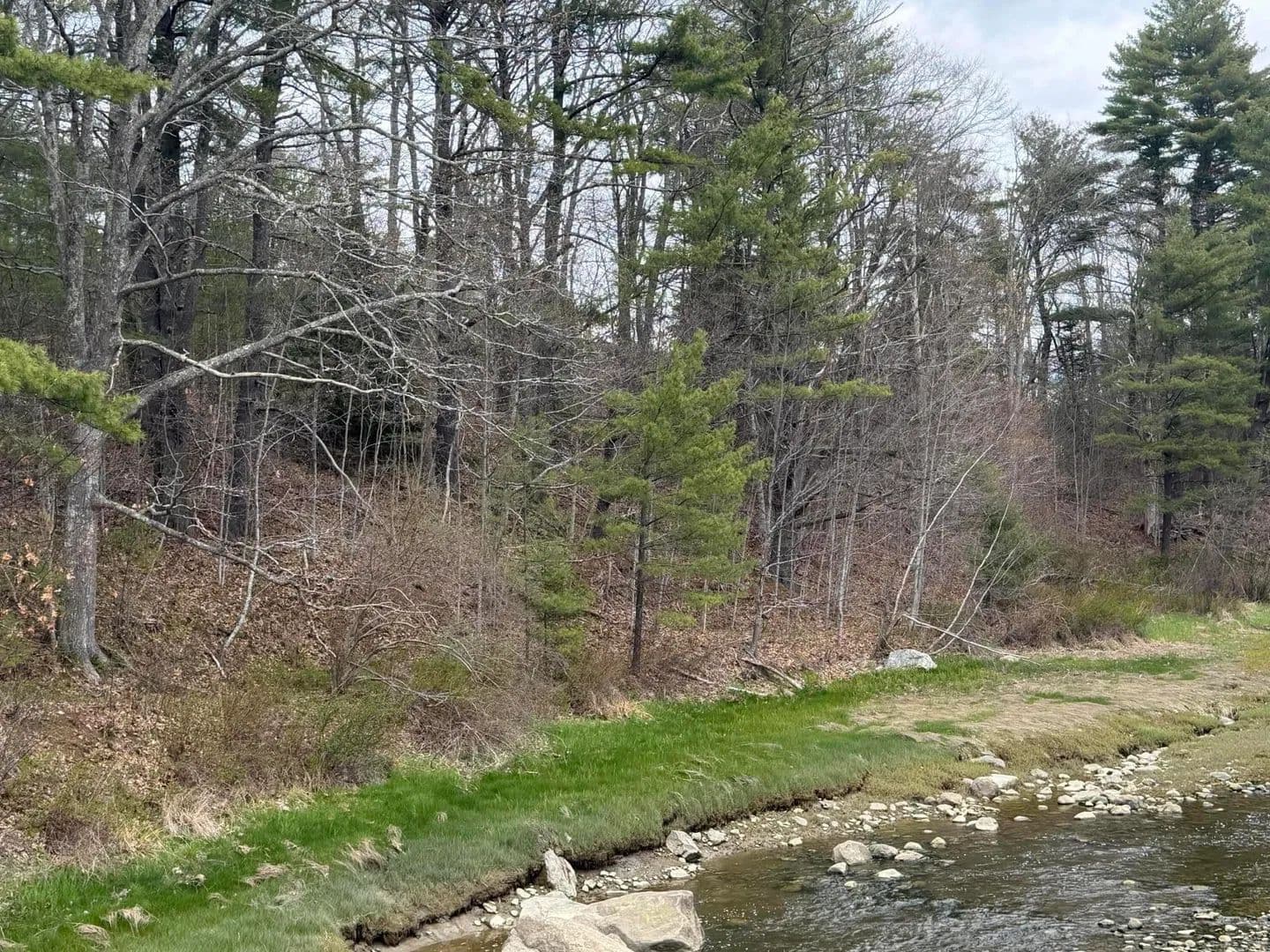 8.3 Acres of Land for Sale in Wiscasset, Maine - Wiscasset, Maine, 04578