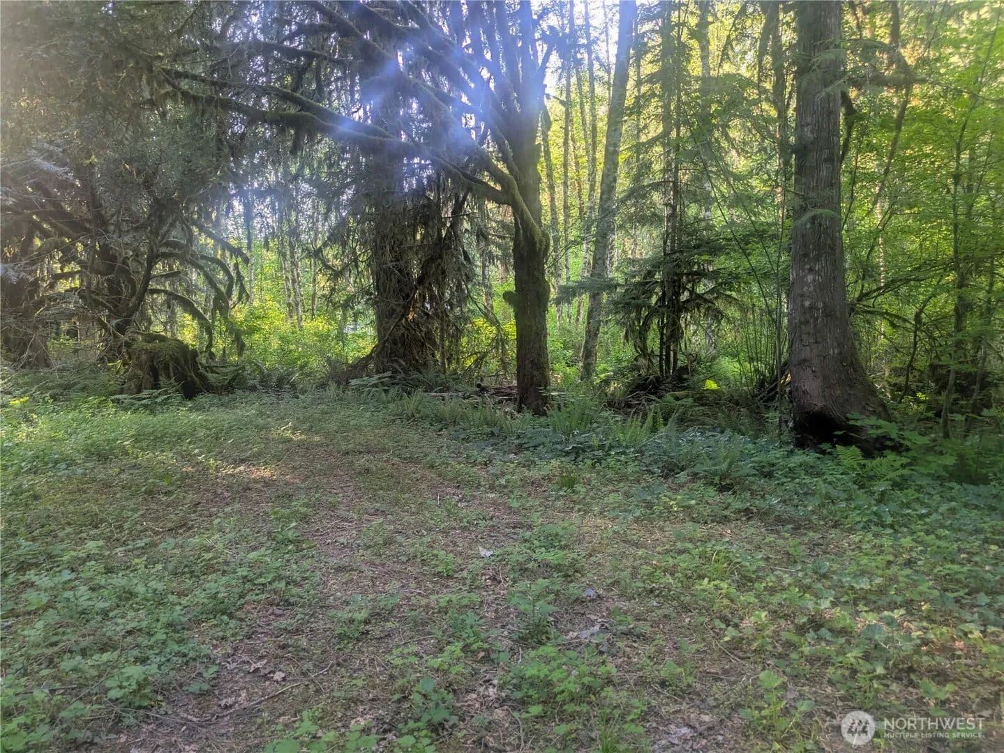 Vacant Land in Marblemount - Marblemount, Washington, 98267