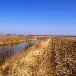 100 ± Acres Mississippi River Bottom Farm, Elsberry, Lincoln County, MO - Elsberry, Missouri, 63343