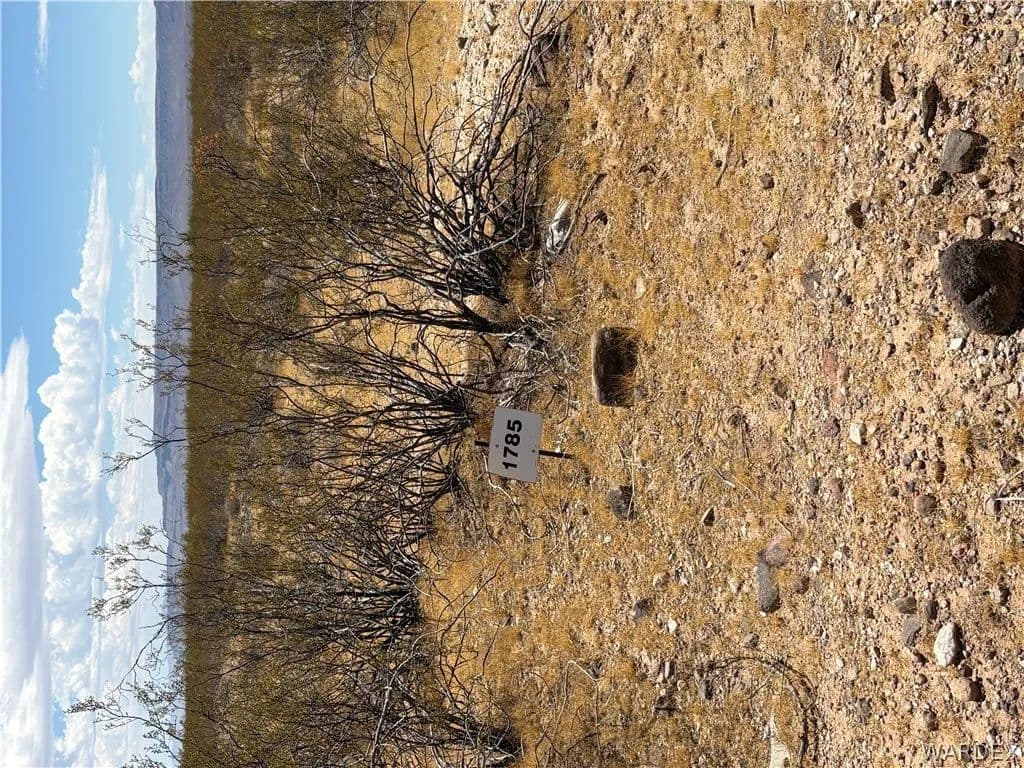 Vacant Land in Golden Valley - Golden Valley, Arizona, 86413