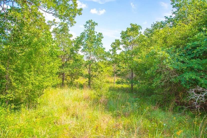 Property from 000 Overlook Road - KW