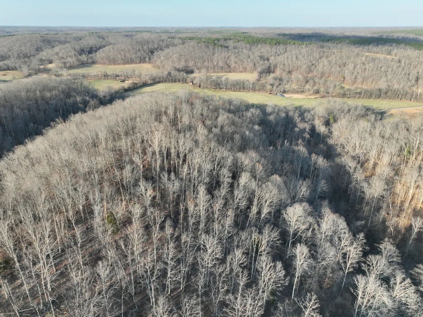 Vacant Land in Dover - Dover, Tennessee, 37058