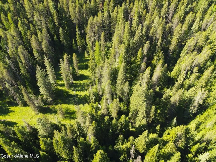 Property from NKA Little Carpenter Creek Road - KW