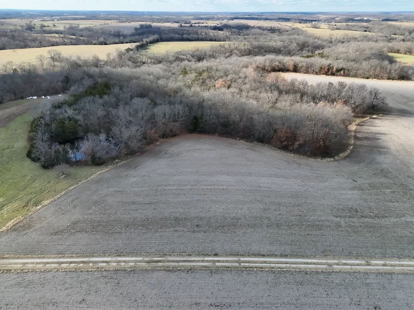 17± Acre Recreational Tract with Build Sites, Timber & Pond – Cooper County