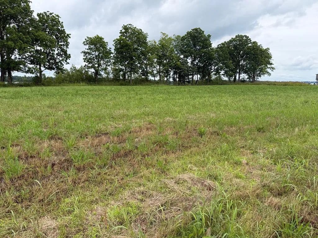 Property from Lot 5 Eagle Lake Shore Rd - KW - Vicksburg, Mississippi, 39183