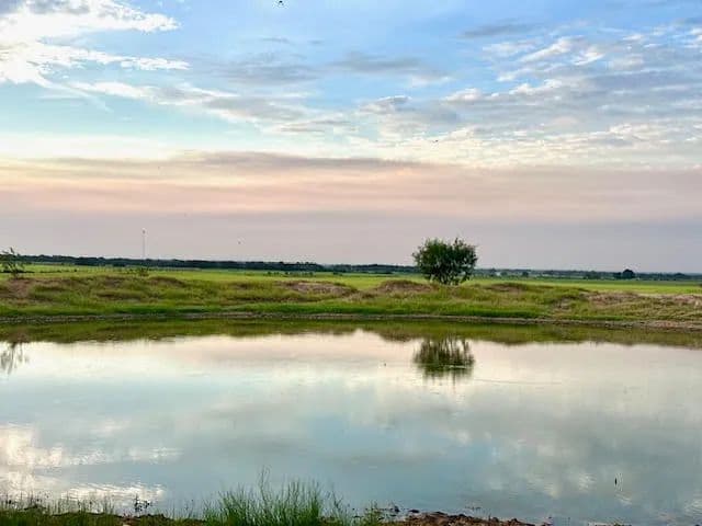 New Listing!! 210+/- Ac & Home, Callahan County - Texas, 76443