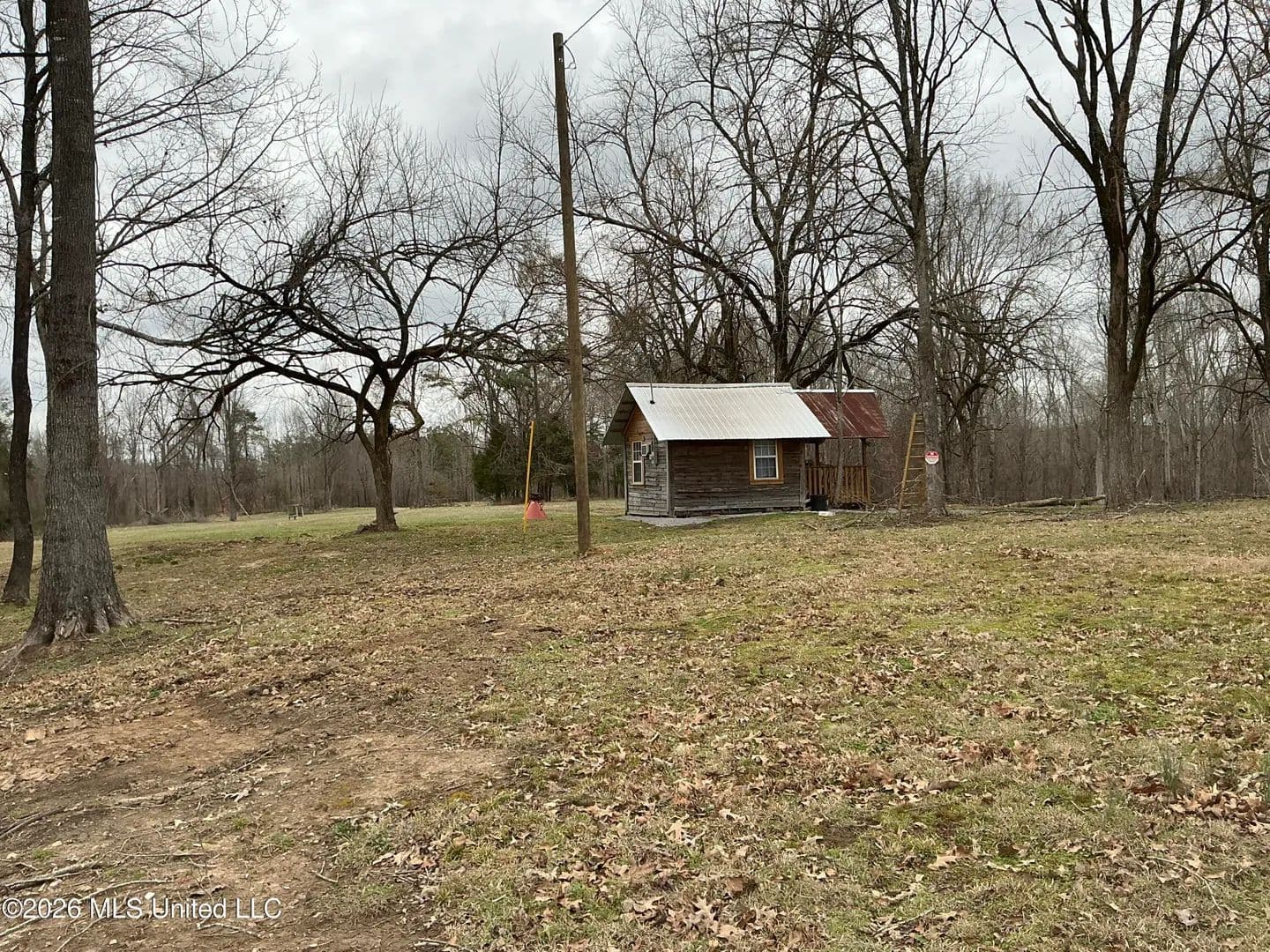 252 Acres of Land for Sale in Carrollton, MS - Carrollton, Mississippi, 38917