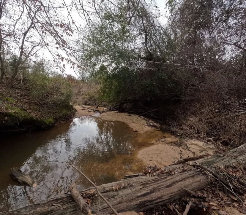 255 Acres Simpson County