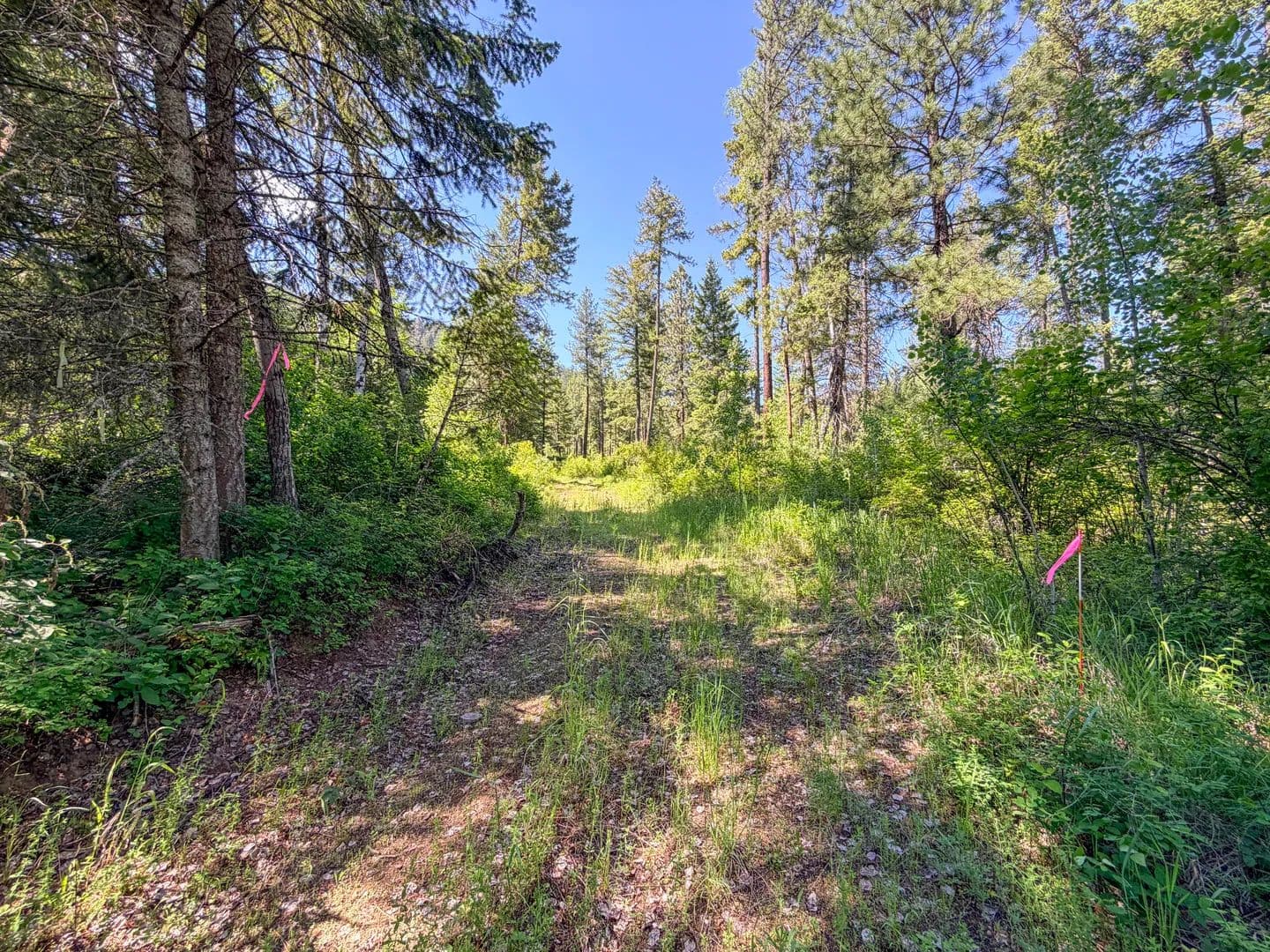 Vacant Land (0-10 Acres) in ADDY - Addy, Washington, 99101