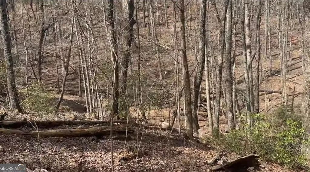 Lots & Land-Other in Jasper - Jasper, Georgia, 30143