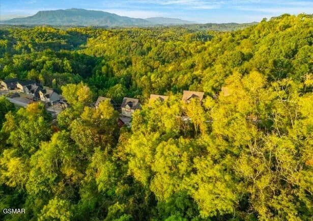 0.29 Acres of Land for Sale in Sevierville, Tennessee - Sevierville, Tennessee, 37876
