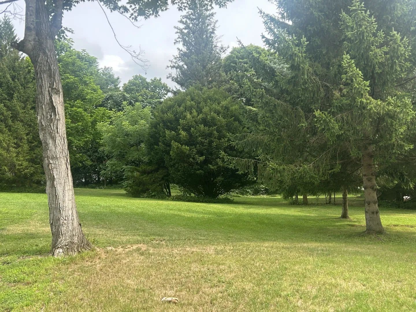 Land -Single Family Acreage in Tionesta - Tionesta, Pennsylvania, 16353