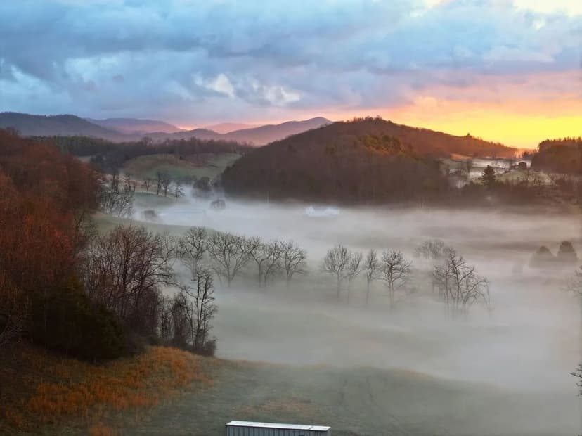 Forest View Farm: 96+/- Rolling Acres Overlooking Jefferson National Forest