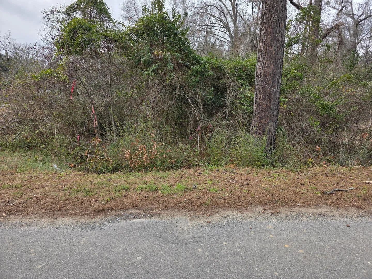 Vacant Land in Moncks Corner - Moncks Corner, South Carolina, 29461