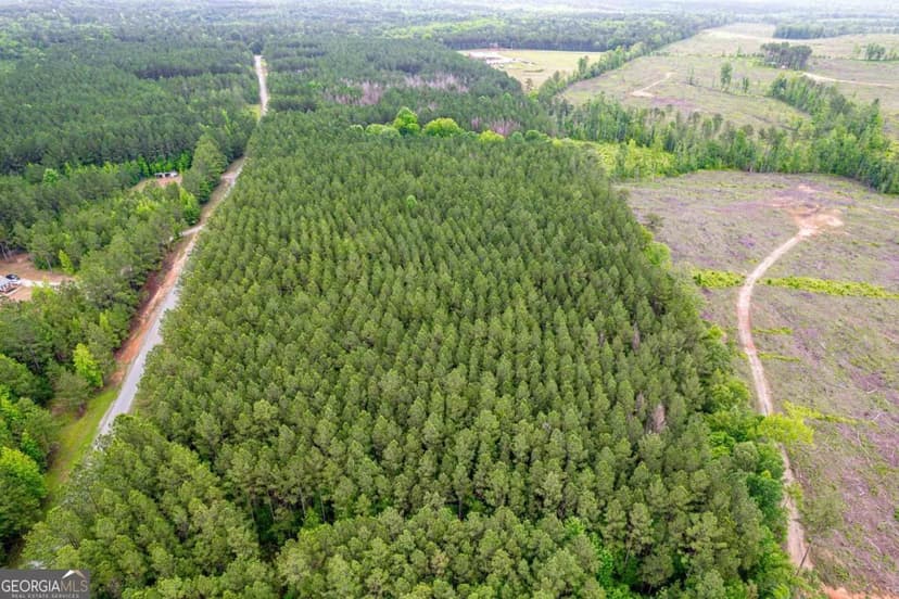 Property from 113 Lisa Woods Lane - KW