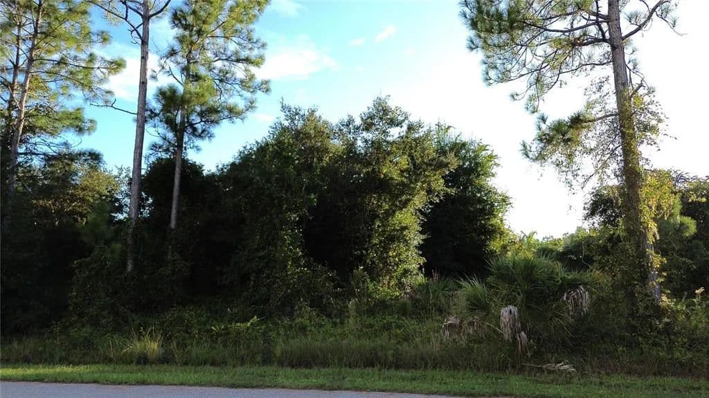 Vacant Land in North Port - North Port, Florida, 34288