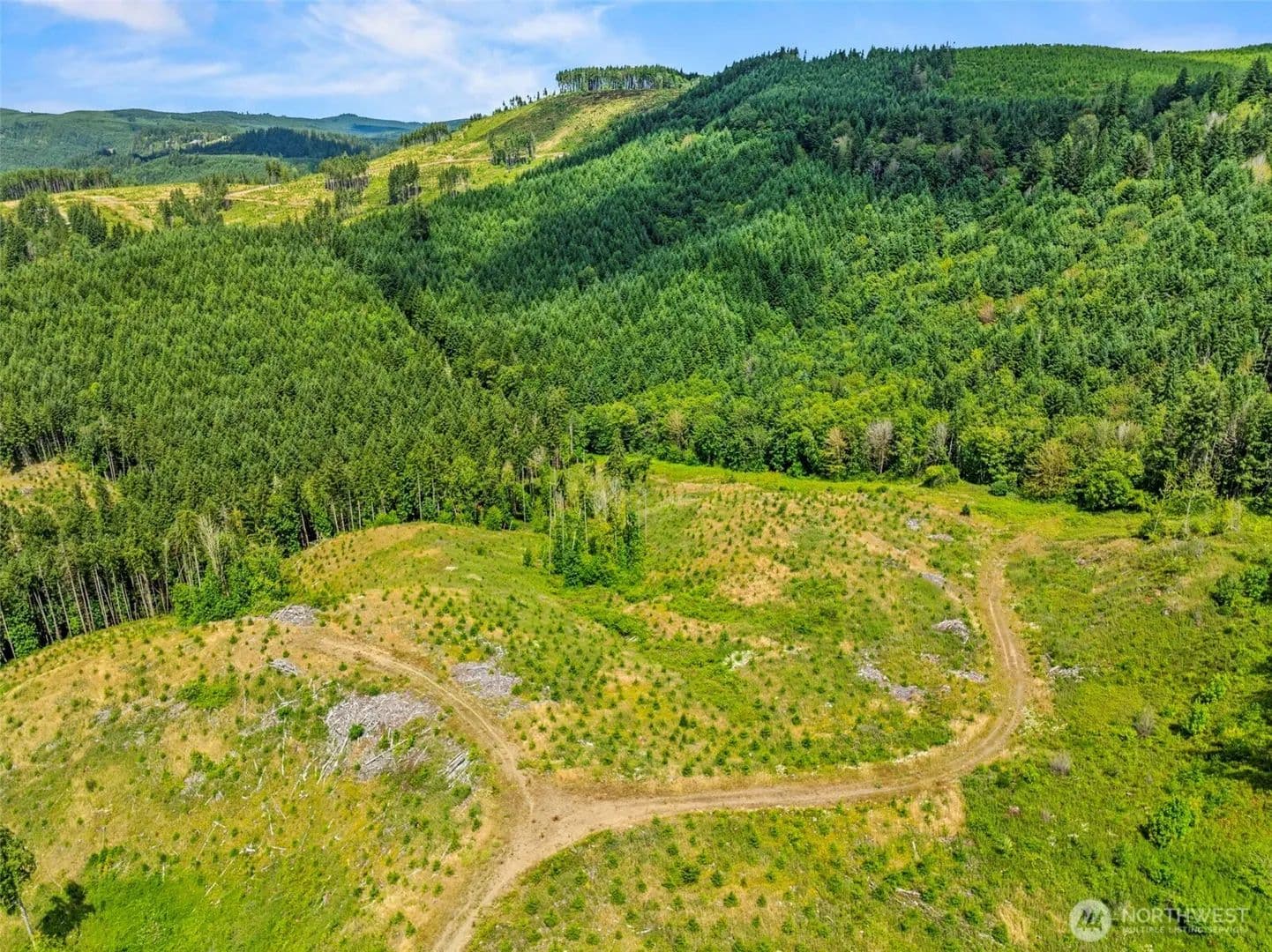 Vacant Land in Kelso - Kelso, Washington, 98626