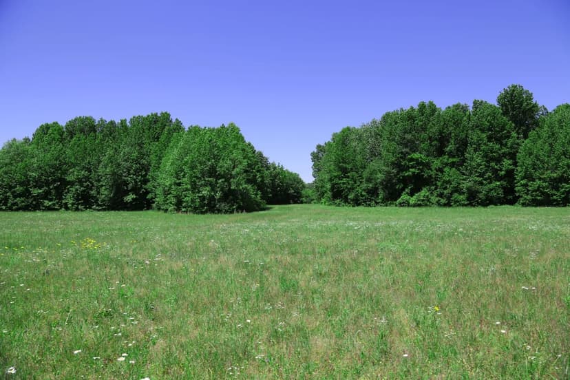 77 Acres in White County, AR 