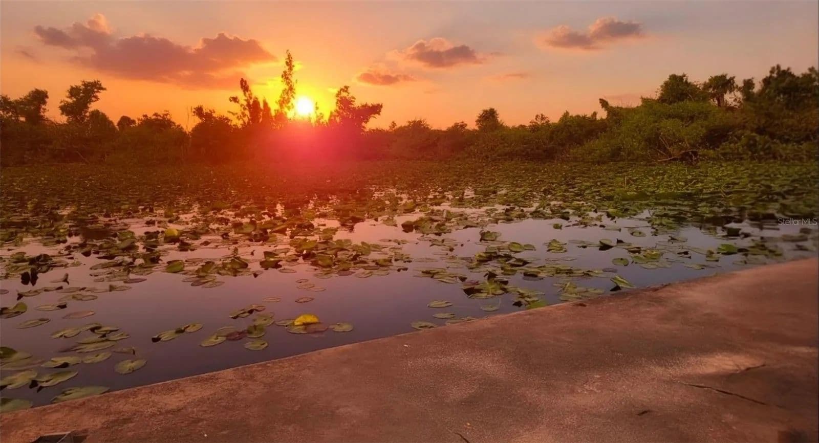 Lots & Land-Other in PUNTA GORDA - Punta Gorda, Florida, 33950