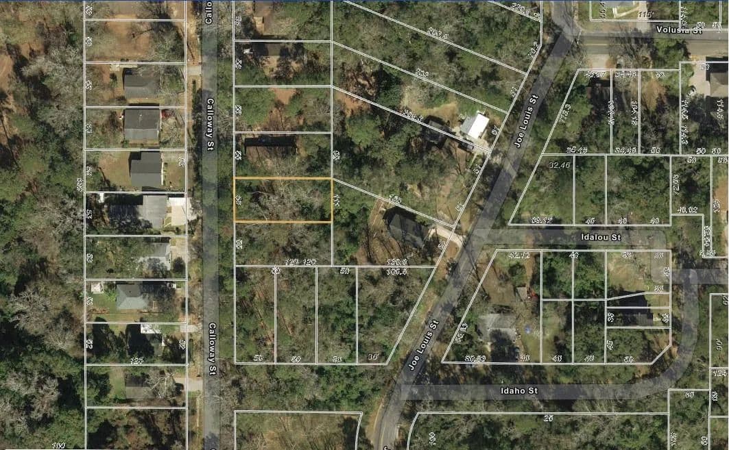 0.15 Acres of Land for Sale in Tallahassee, Florida - Tallahassee, Florida, 32304