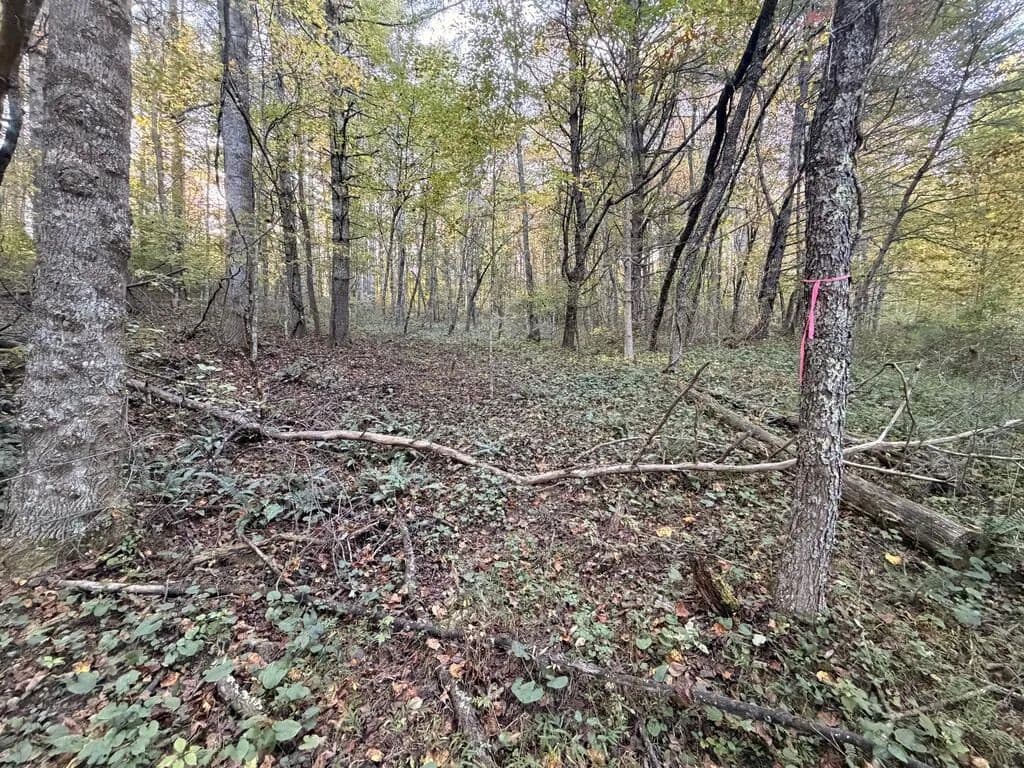 Vacant Land in Dugspur - Dugspur, Virginia, 24325