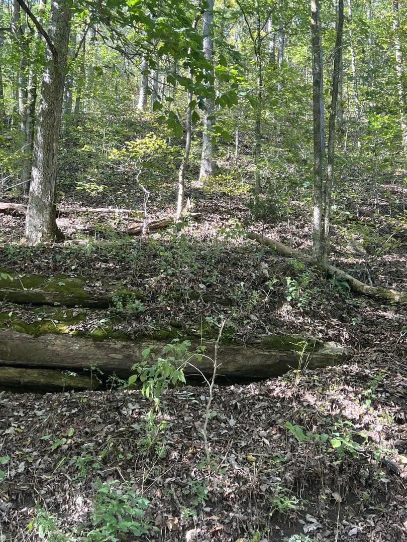 Lots & Land-Other in Celina - Celina, Tennessee, 38551