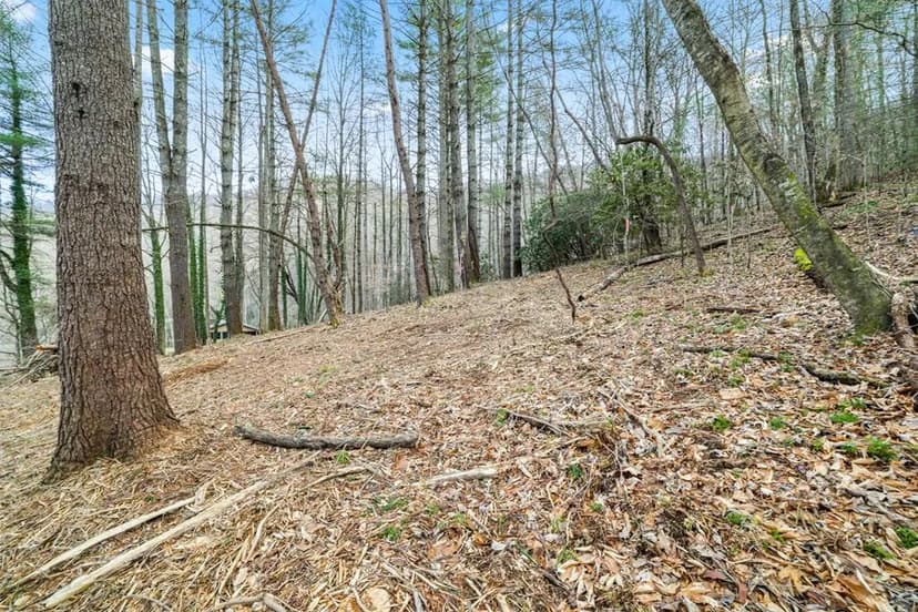 Property from Lot 1 Craig Dr - KW