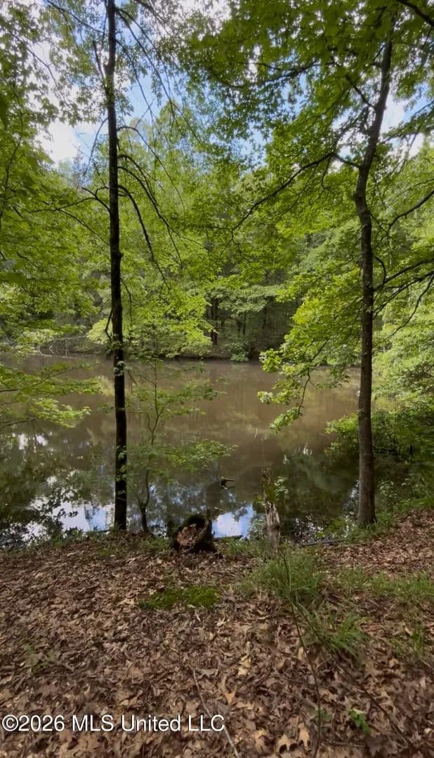Property from 5235 Highway 51 - KW - Hernando, Mississippi, 38632