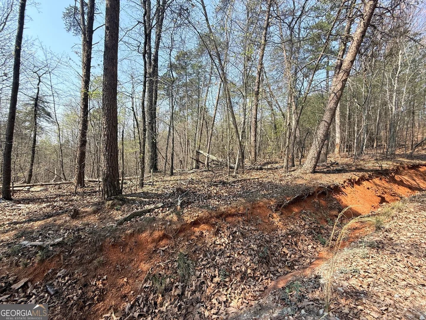 Property from TRACT A Baldwin Heights Road - KW - Baldwin, Georgia, 30511