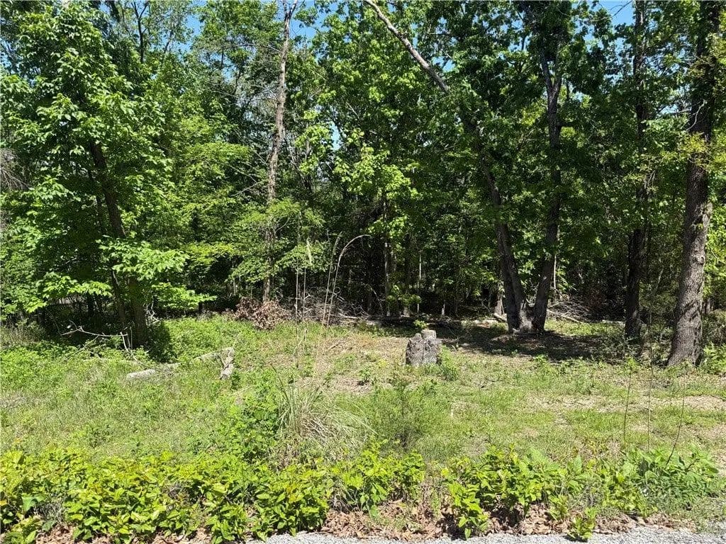 Lots & Land-Other in Holiday Island - Holiday Island, Arkansas, 72631