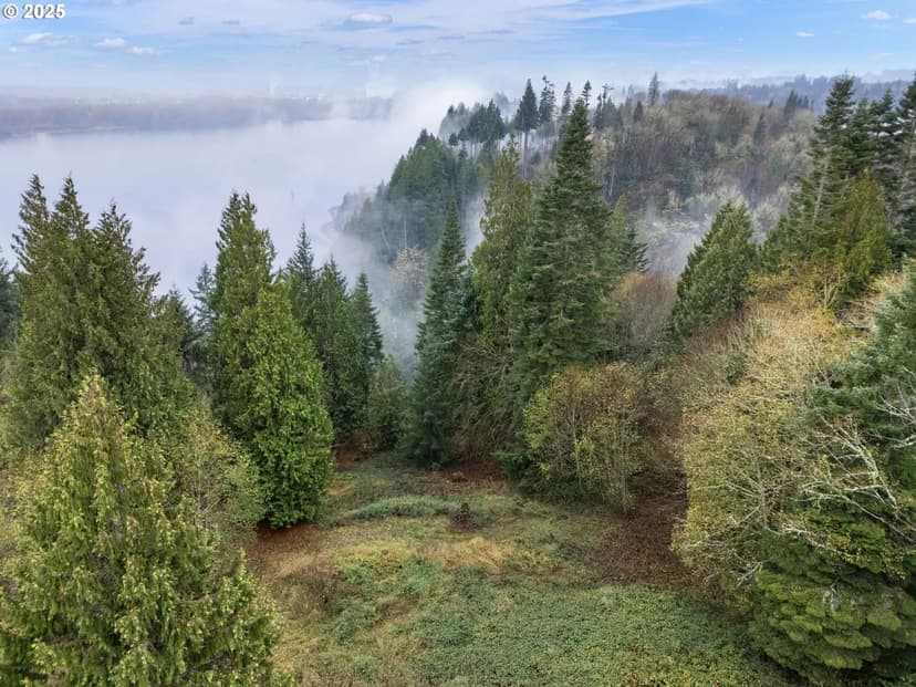 Property from 205 NEWT ESTATES RD - KW