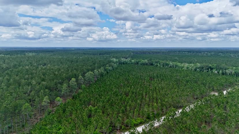 20 Acres – Balanced Homestead Opportunity	
