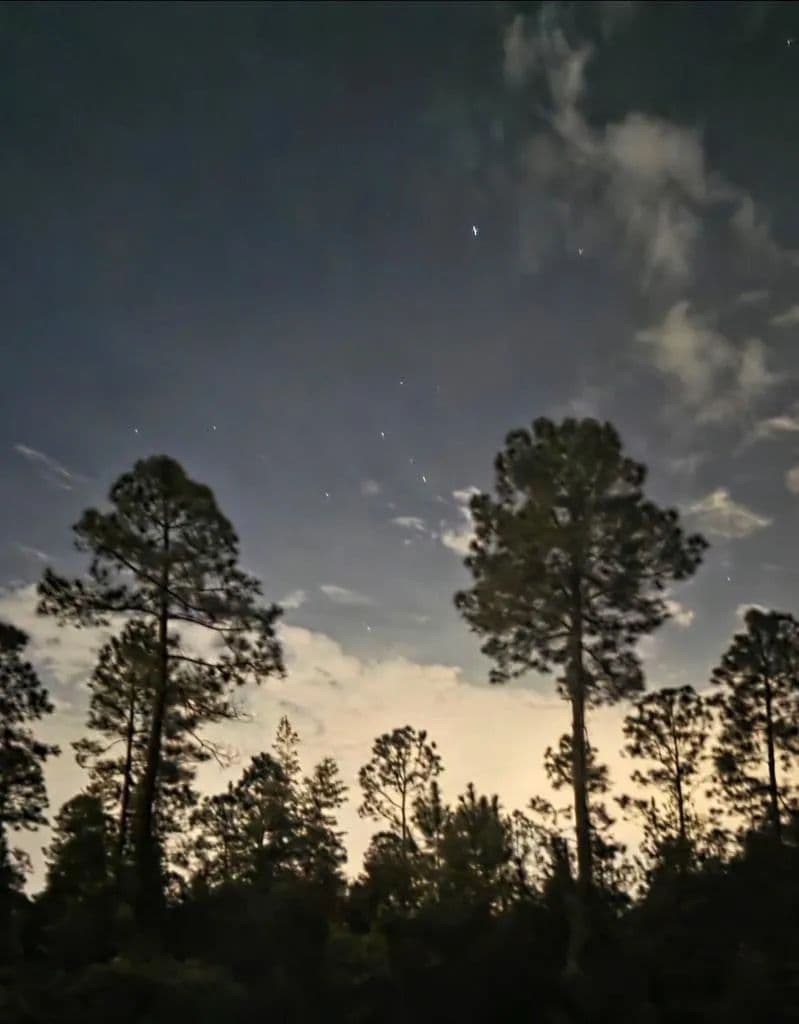 Property from 0 St Johns Road - KW - Fitzgerald, Georgia, 31750