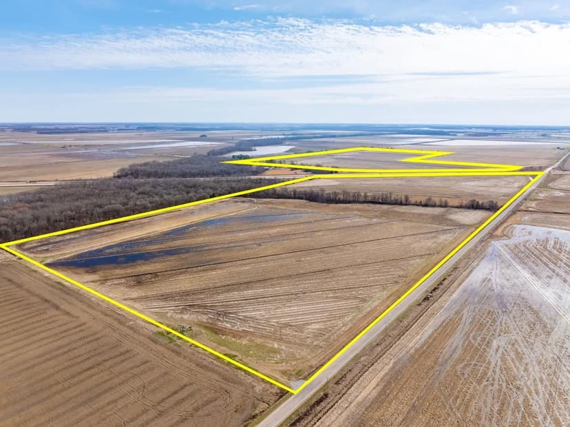 185 +/- Row Crop Acres Just 1 Mile from Denton Island – Cache River Duck Country, Jackson County