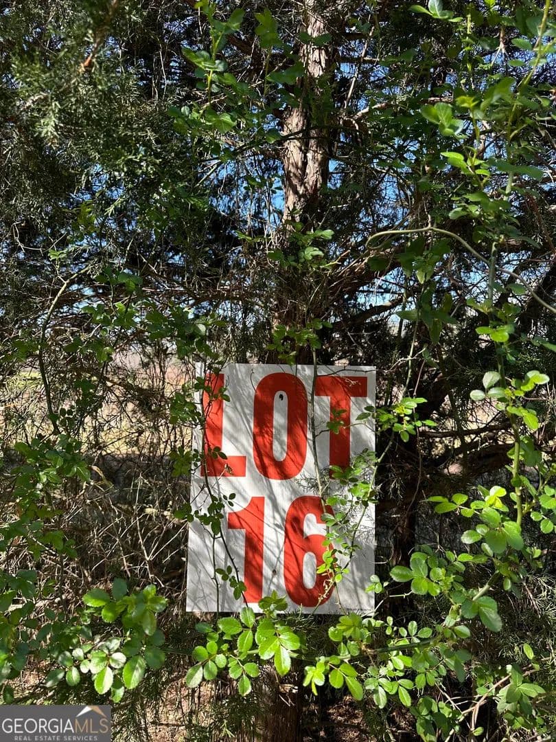Property from 139 Oak Road #LOT 16 - KW - Locust Grove, Georgia, 30248