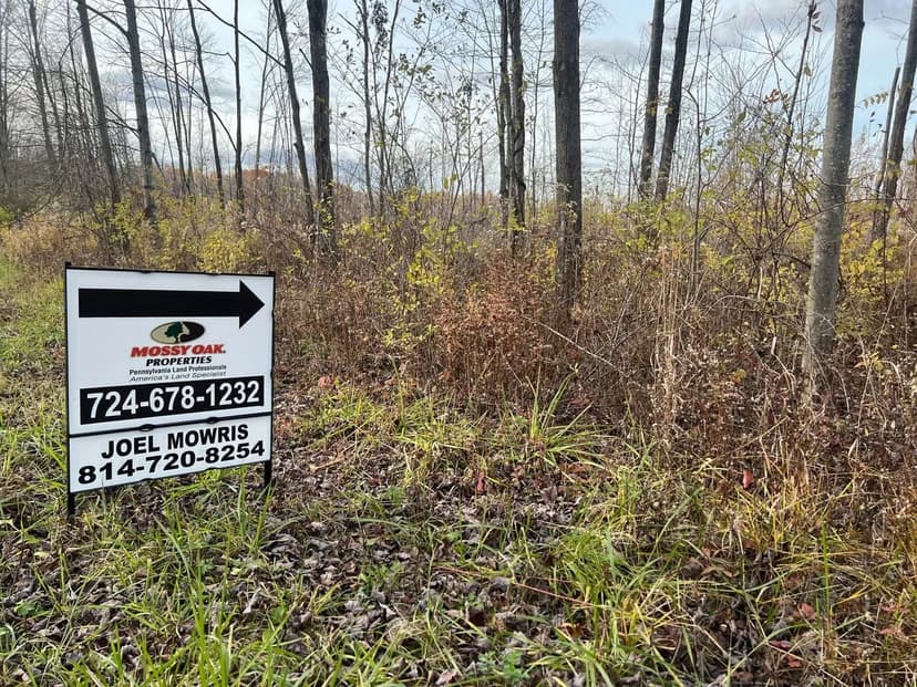 Tracy Rd. Erie County - 35 +/- Acres