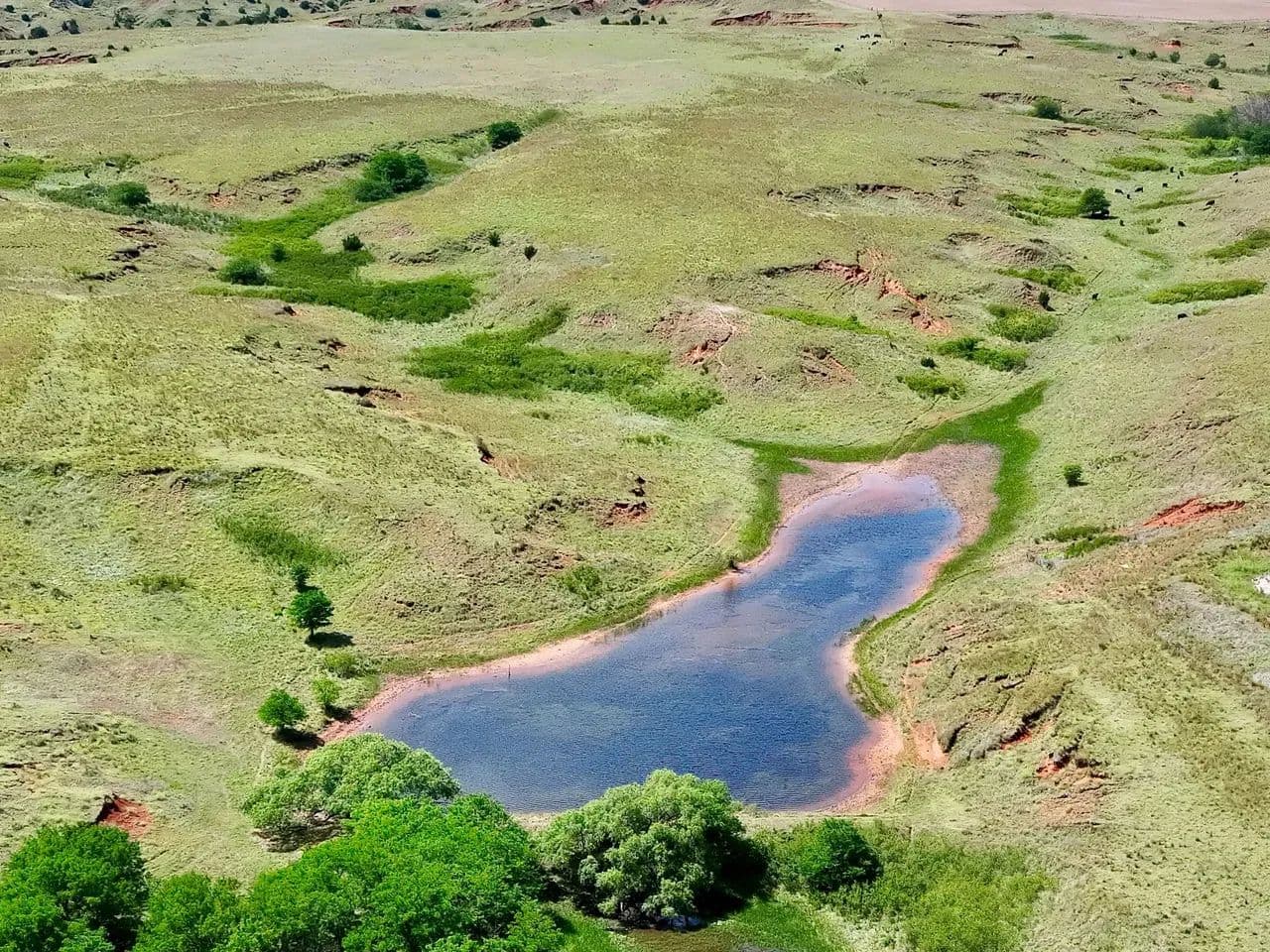 Harper County 160± Acres – Native Grass & Recreation Quarter - Buffalo, Oklahoma, 73834