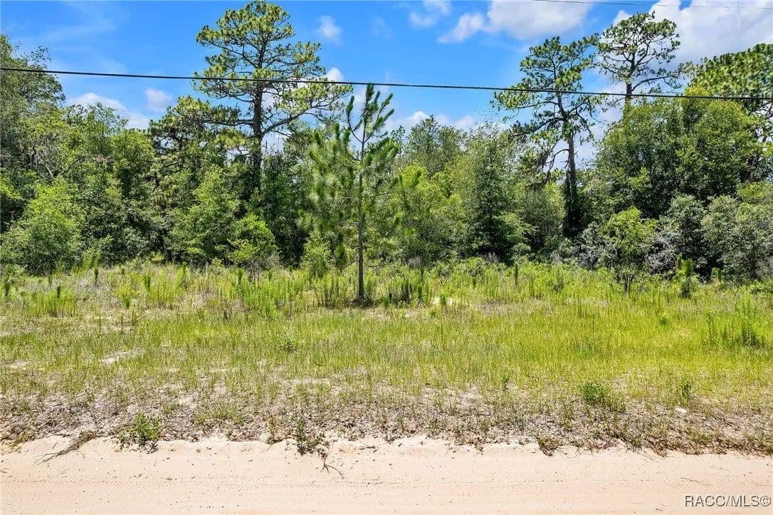 Lots & Land-Other in Lecanto - Lecanto, Florida, 34461
