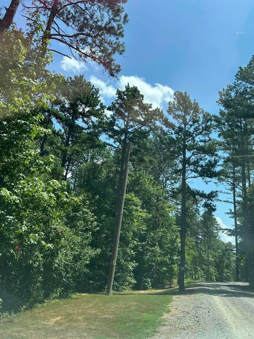 Lots & Land-Other in Bee Branch - Bee Branch, Arkansas, 72013