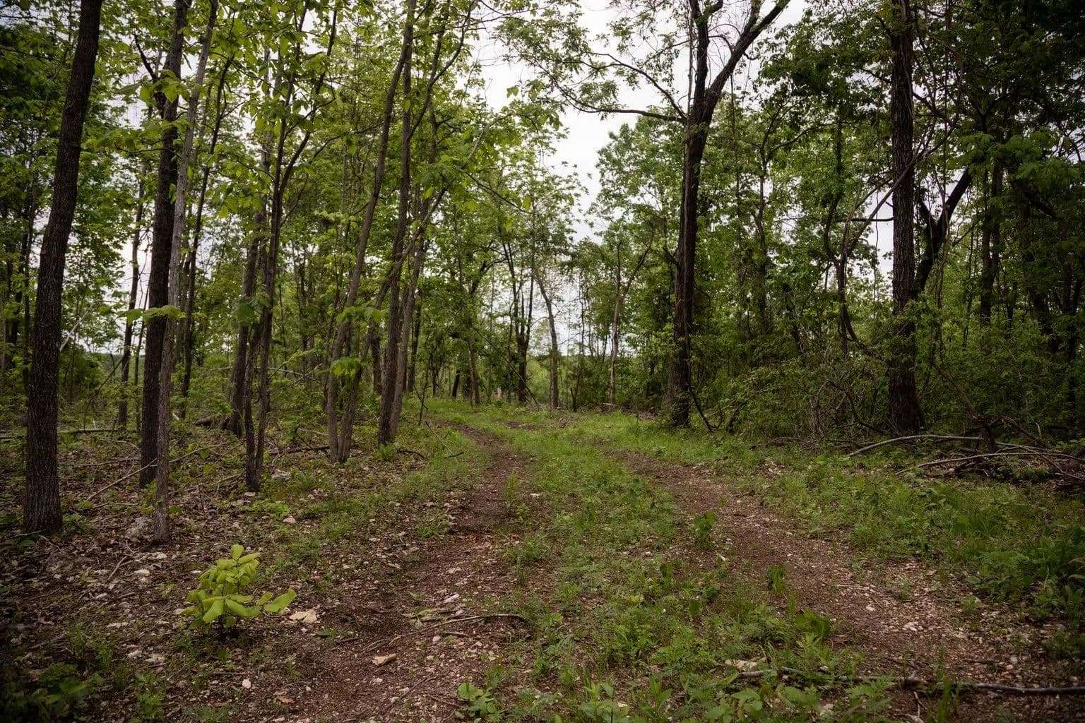 Land -Agricultural (Not Zoned) in Myrtle - Myrtle, Missouri, 65778